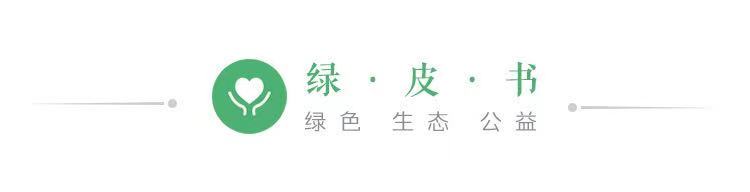 长沙湘江河滩被渣土填埋近百米，当地连夜清理并立案调查(图1)