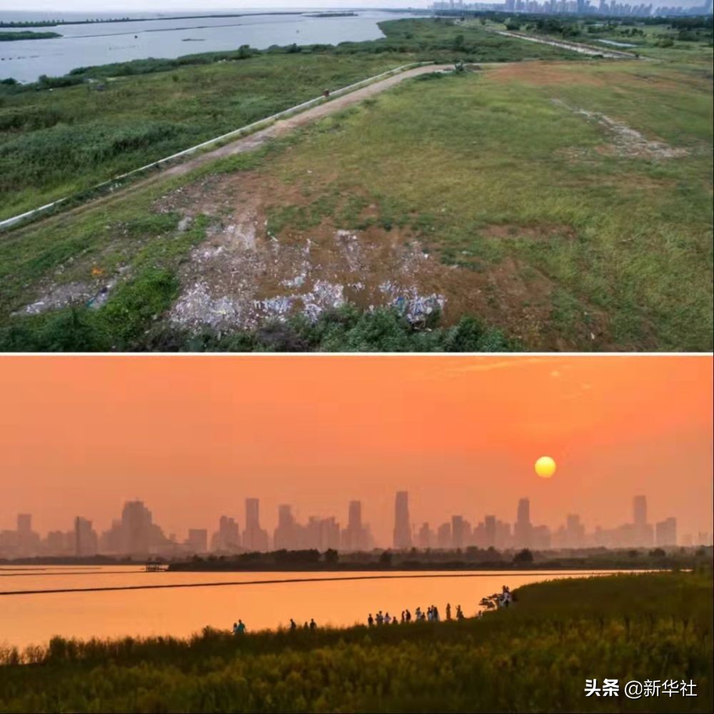 瞭望·治国理政纪事丨江淮问道(图4)