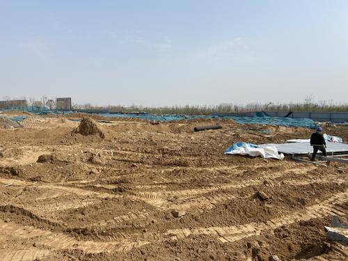“保卫郑州蓝”之曝光台郑新快速路绿化提升工程建筑垃圾裸露上万平方米(图4)