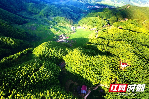 壮丽70年丨绥宁：奋进七十载绿洲展华彩(图2)
