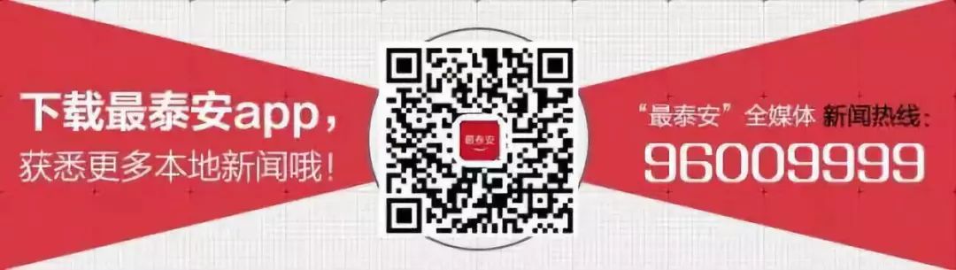 20吨冷冻鸭想偷偷“溜”过泰安西收费站？！三无产品！将进行无害化处理(图1)