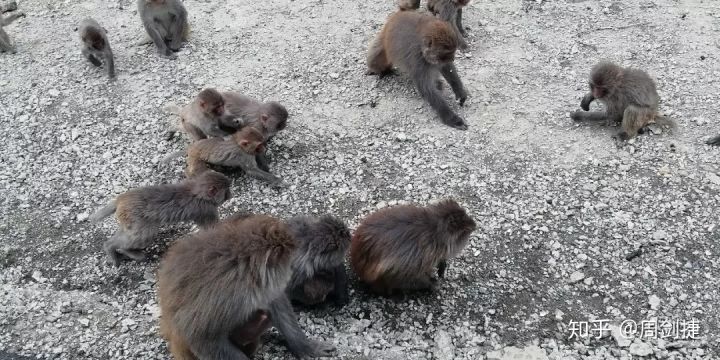 4000公里，遇见“慢生活”的美好(图73)