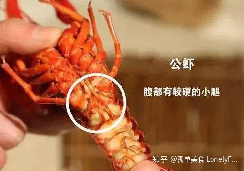 小龙虾价格飞涨，吃货哭着也要吃！(图14)