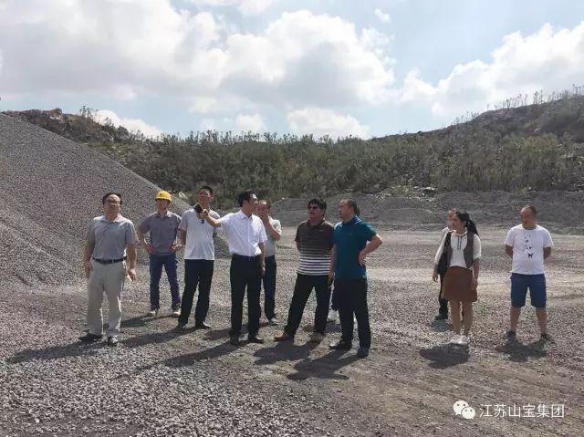 江苏山宝集团：湖北鑫九龙钙业有限公司、山东易拓新材料有限公司、南京工业大学领导莅临考察指导！(图24)