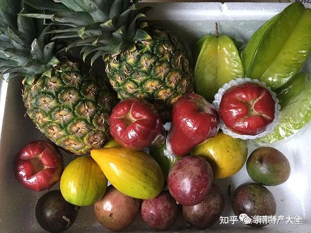 来海南必买的十大特产，每一个都值得你带回家(图1)