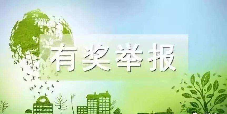 泌阳县政府：举报这事儿最高可奖励现金10000元！(图4)