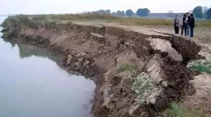 泌阳县政府：举报这事儿最高可奖励现金10000元！(图8)