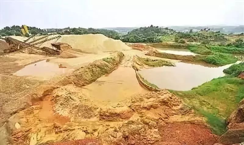 泌阳县政府：举报这事儿最高可奖励现金10000元！(图7)