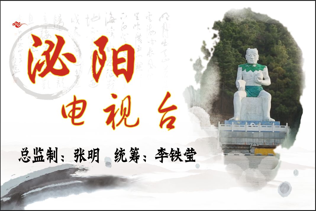 泌阳县政府：举报这事儿最高可奖励现金10000元！(图13)