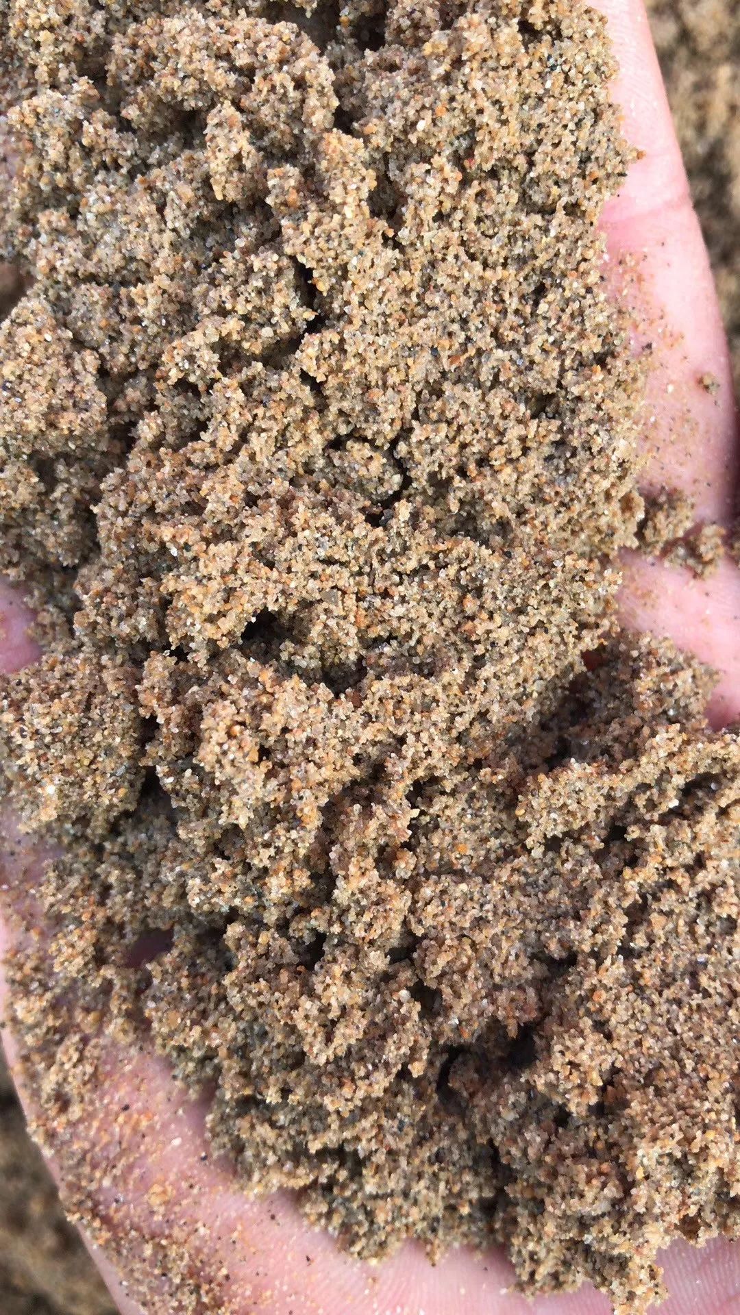 工信部：推进机制砂石行业高质量发展，鼓励利用尾矿制砂！(图3)