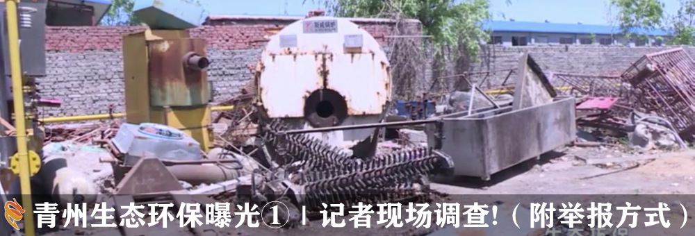 青州生态环保曝光②｜记者现场调查！路边垃圾堆、养殖场、餐饮店……(图7)