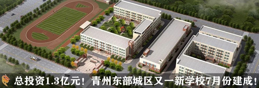 青州生态环保曝光②｜记者现场调查！路边垃圾堆、养殖场、餐饮店……(图9)