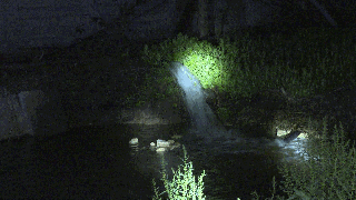 深夜突击！封…(图9)