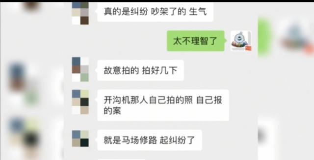 吉林男子用挖掘机挖斗将修路工地的工头拍死，连拍8下，惨不忍睹(图8)