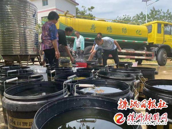 绿化水车“变身”送水车解独居老人用水难题(图5)