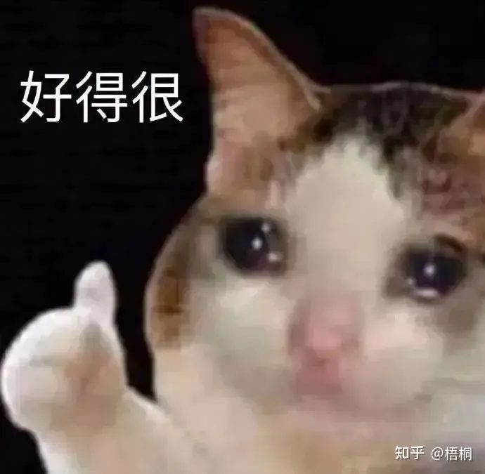 2022年洗地机—吸拖一体机推荐，洗地机哪个品牌好？添可—必胜—石头—莱克洗地机横评推荐（7月更新）(图4)