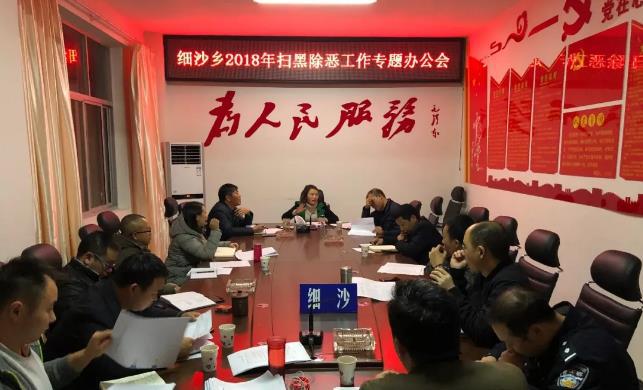 开展扫黑除恶建设和谐细沙(图2)