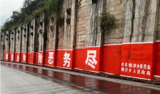 开展扫黑除恶建设和谐细沙(图3)