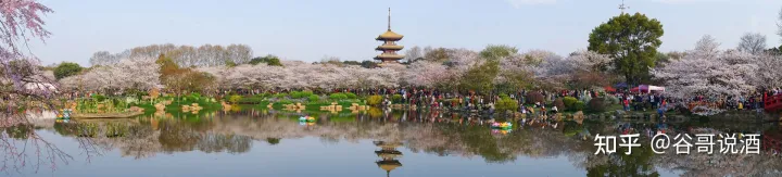 2022年白酒推荐：湖北有什么好酒？湖北省白酒排名及选购指南，性价比高的大品牌经典酒，好喝不贵的纯粮食酒，送岳父送长辈，自饮礼品收藏必备（包含黄鹤楼、稻花香、西陵特曲、枝江大曲、白云边等）(图1)