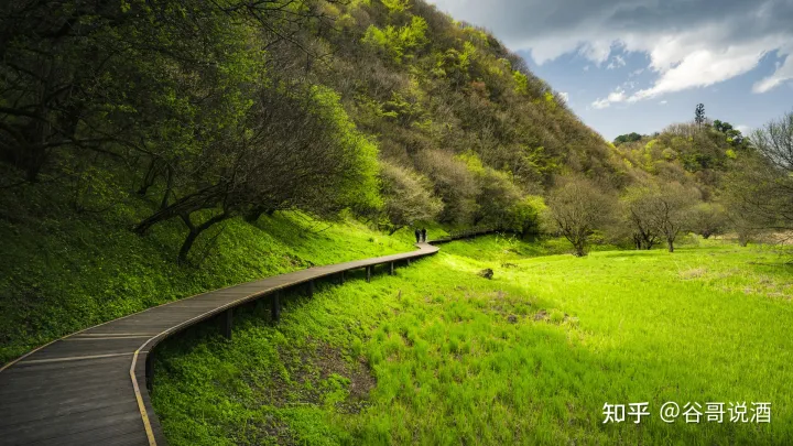 2022年白酒推荐：湖北有什么好酒？湖北省白酒排名及选购指南，性价比高的大品牌经典酒，好喝不贵的纯粮食酒，送岳父送长辈，自饮礼品收藏必备（包含黄鹤楼、稻花香、西陵特曲、枝江大曲、白云边等）(图20)