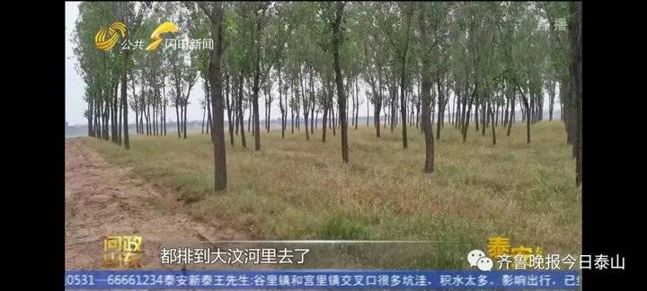 泰安9月24日接受电视问政，六个问题当晚研究整改不推诿不拖延(图26)