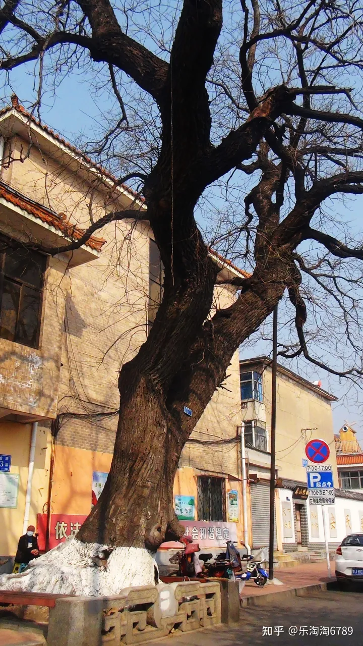 泰安：它是最古老街道之一，里面曾是豪宅林立，住着达官贵人，现仅存一处别样景观！(图11)