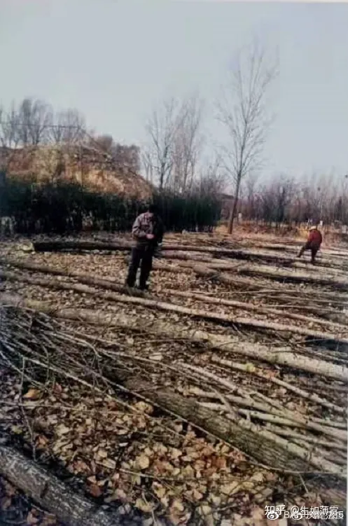 重大级财物被毁坏，为何案件无回应？(图2)