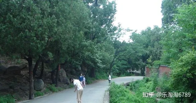 泰安：泰山南麓一处景点，清幽僻静，是避暑观光休闲的好地方！(图8)