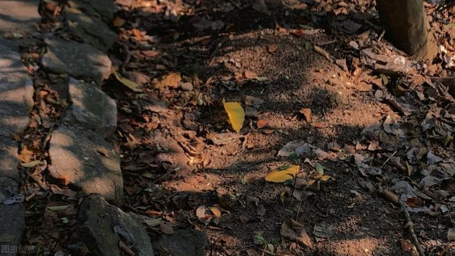 机制砂是如何制造的？破碎机简单粗暴，岩石摇身一变成砂子(图1)