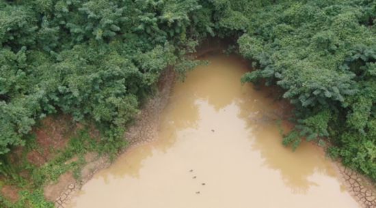 江苏镇江一非法洗砂场竟将污水抽到山顶直排入附近水塘(图4)