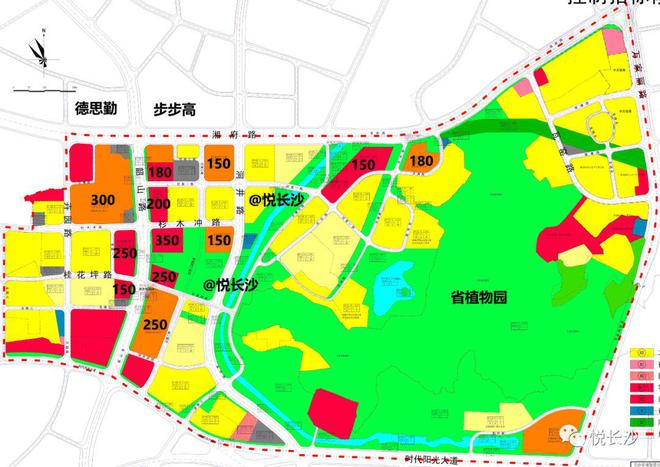 红星片区要调规！涉及天华、红星会展、红星大市场更新单元(图2)