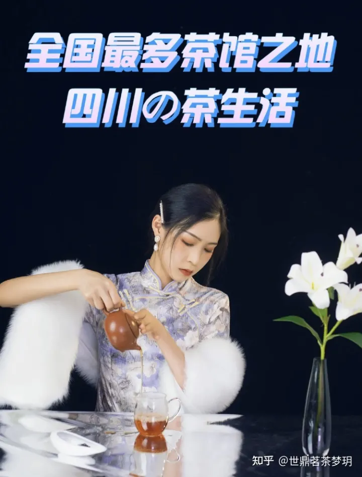 四川居然是中国最多茶馆的地方？一年能喝七个西湖？(图1)