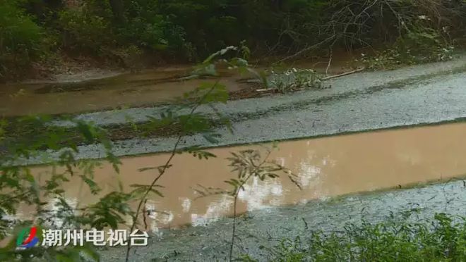 潮州铁铺溪流发黄淤泥堆积,都是洗砂场惹的祸(图3)