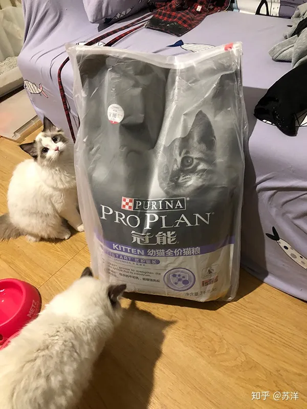 在58同城上买宠物靠谱吗？(图11)