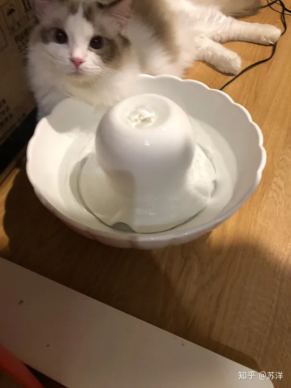 在58同城上买宠物靠谱吗？(图13)