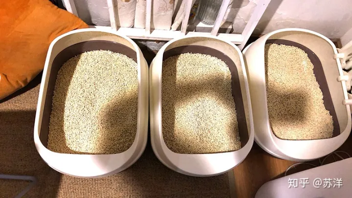 在58同城上买宠物靠谱吗？(图14)