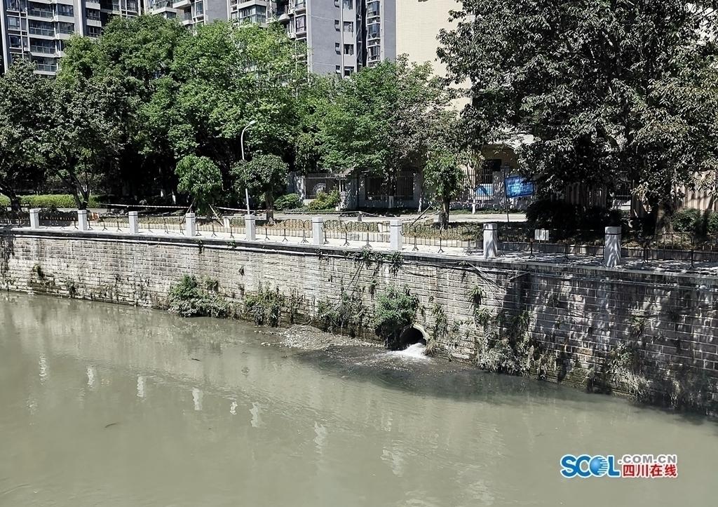 黄强赴成都督导省生态环境保护督察工作时强调：动真碰硬抓好环保督察发现问题整改(图2)