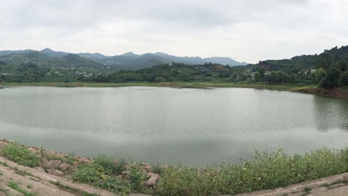 龙泉驿：生产生活生态一起抓重拳治出清水来(图2)