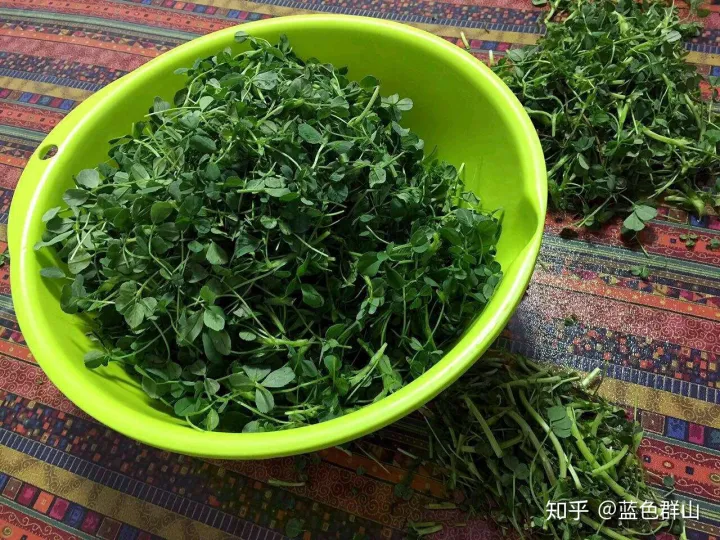 新疆的咬春(图3)