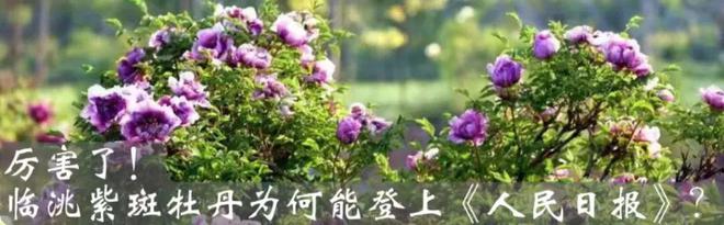 中铺镇开展砂石资源加工销售违法违规行为大检查大整治行动(图9)