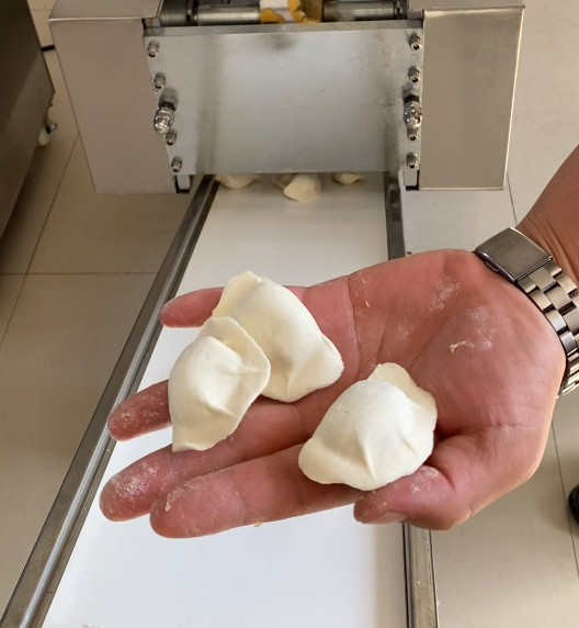 想做饺子加工厂，应该怎么选择饺子机相关设备？(图2)