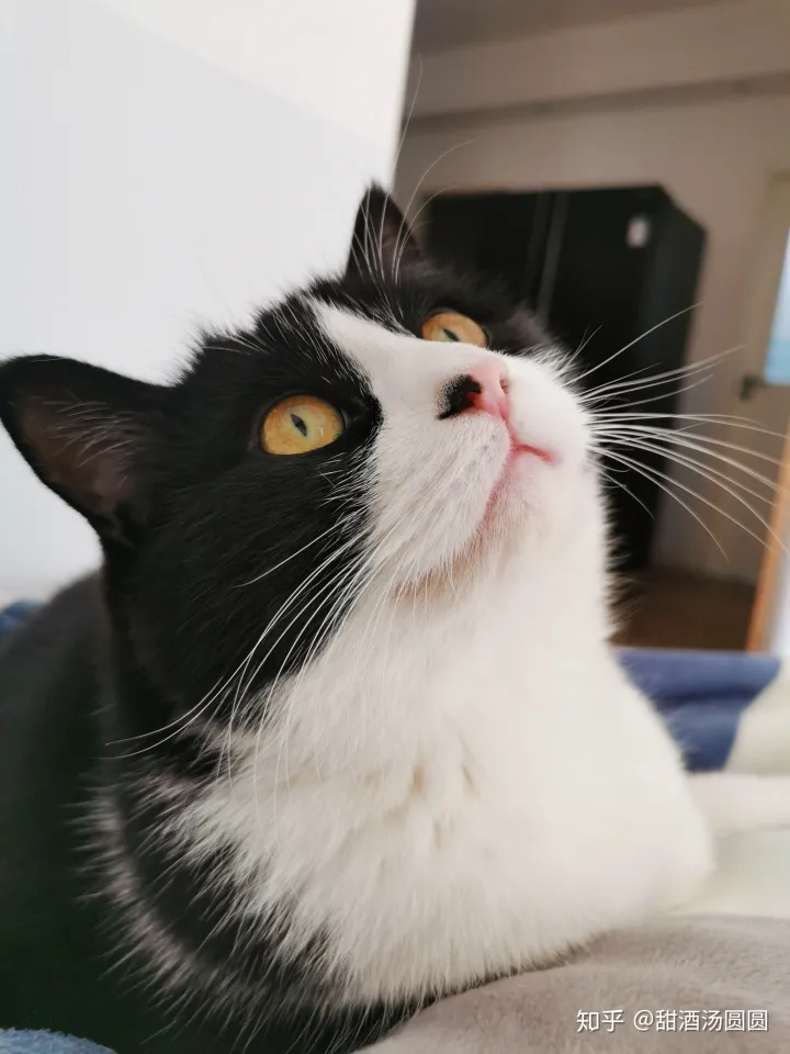 我在长沙市口腔医院补牙全过程及经验分享(图8)