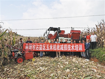 按下机械化秋收“快进键”(图2)