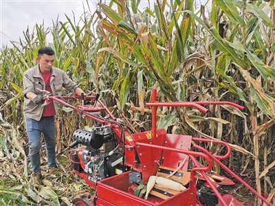 按下机械化秋收“快进键”(图1)