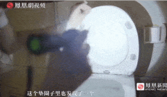 情侣酒店“激战”40分钟，4万人在线围观：酒店是直播现场！(图14)