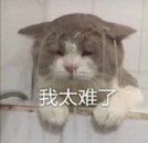 2022年家用烤箱推荐大全，附长帝、美的、格兰仕、苏泊尔、西门子、松下、博世、老板、华帝、方太、北美等各大品牌20款不同价位烤箱推荐（建议收藏）(图2)