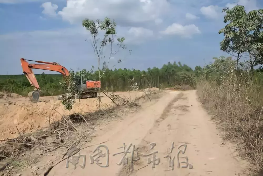 “不买我的砂就打死你！”海南这11个“砂霸”因涉黑涉恶覆灭(图8)