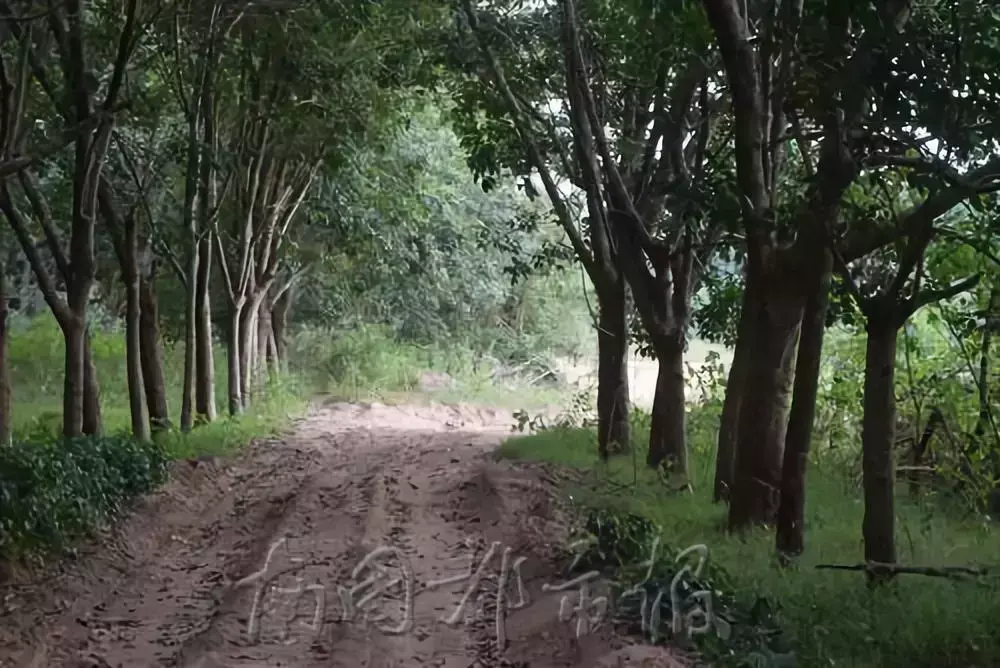 “不买我的砂就打死你！”海南这11个“砂霸”因涉黑涉恶覆灭(图10)