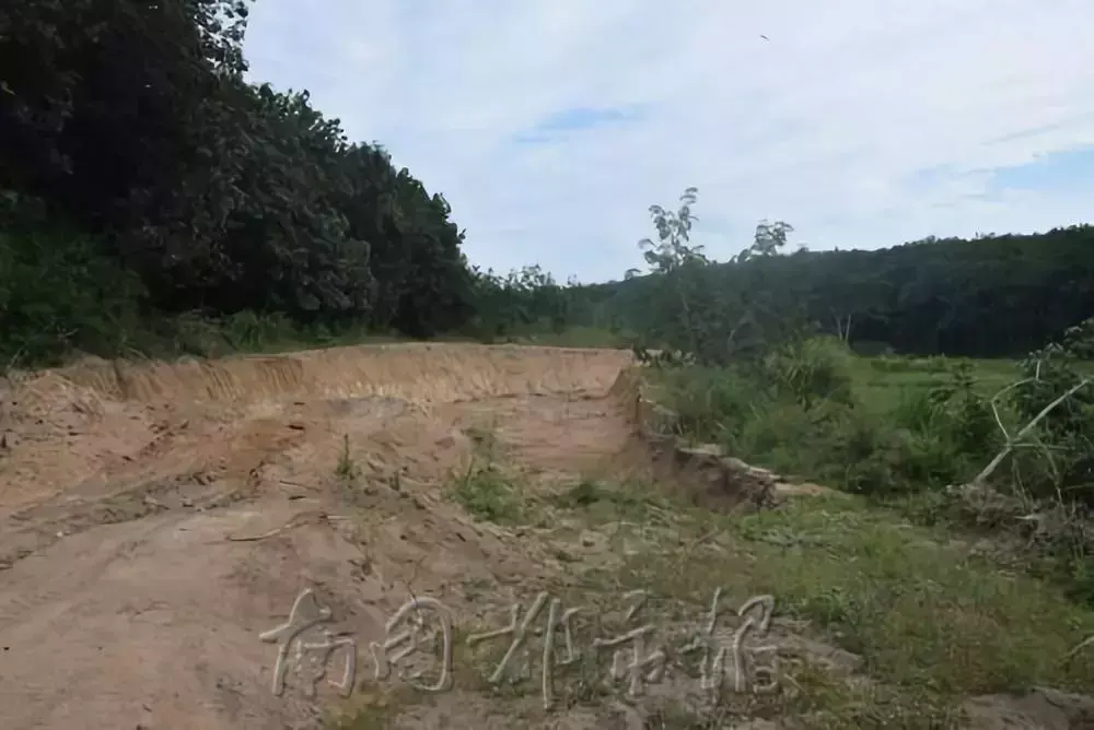 “不买我的砂就打死你！”海南这11个“砂霸”因涉黑涉恶覆灭(图11)