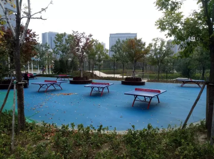 郑州最好公园！大人能跑步，小孩能玩沙，设备全进口，不收门票！(图11)